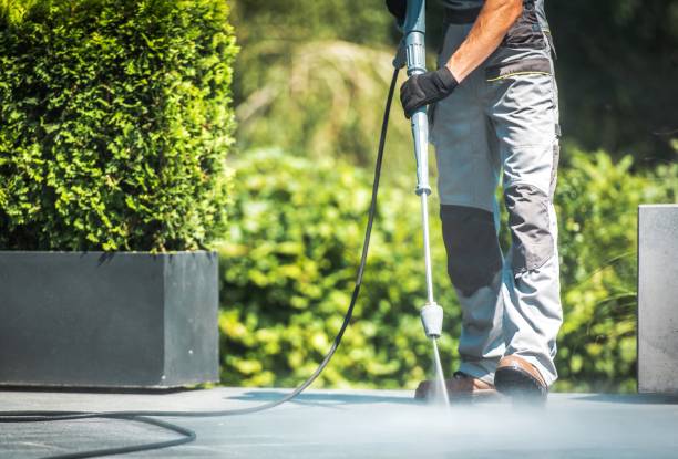 Best Gutter Cleaning  in Livonia, MI