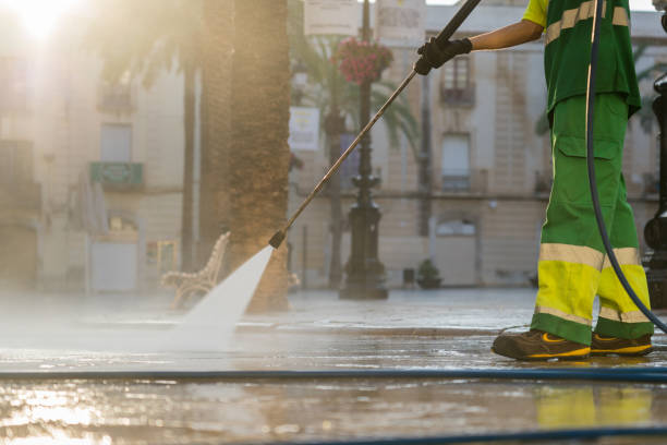 Best Roof Washing  in Livonia, MI